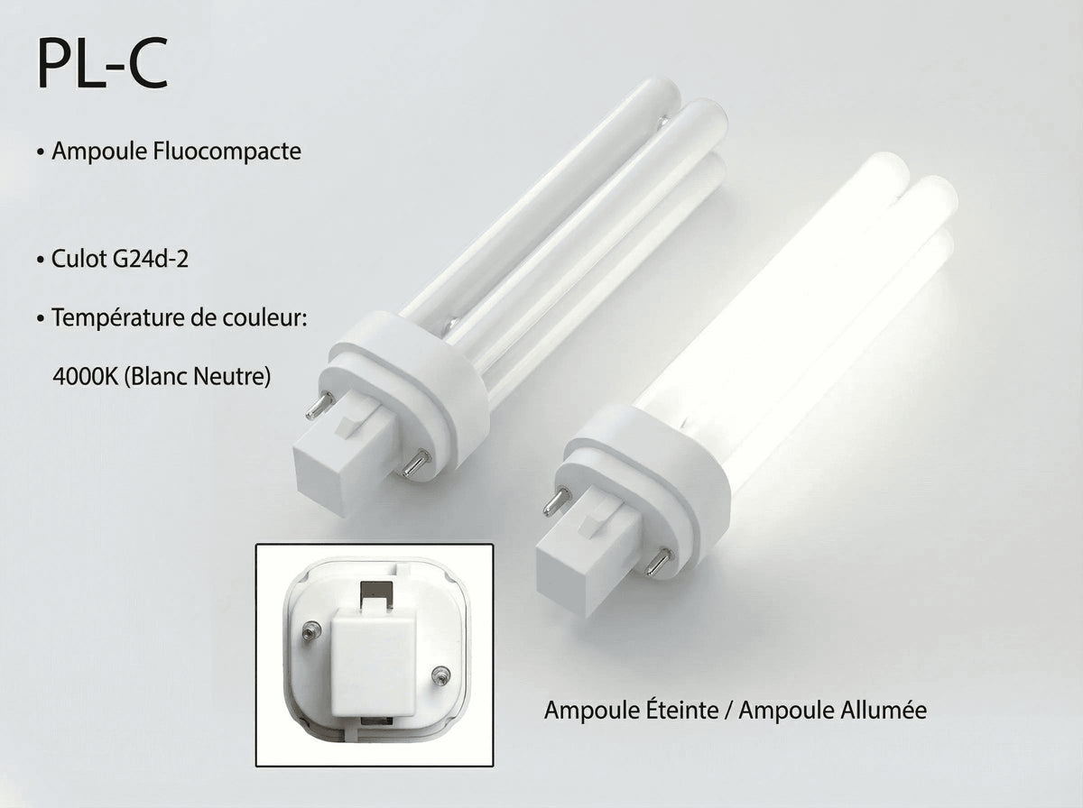 Lampe fluocompacte PL-C G24d à 2 broches en 4000K, éteinte et allumée, avec gros plan du culot