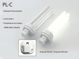 Lampe fluocompacte PL-C G24d à 2 broches en 4000K, éteinte et allumée, avec gros plan du culot