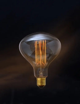 Ampoule à filament cage d'écureuil dimmable E27 60 W modèle Walter - Jurassic-Light