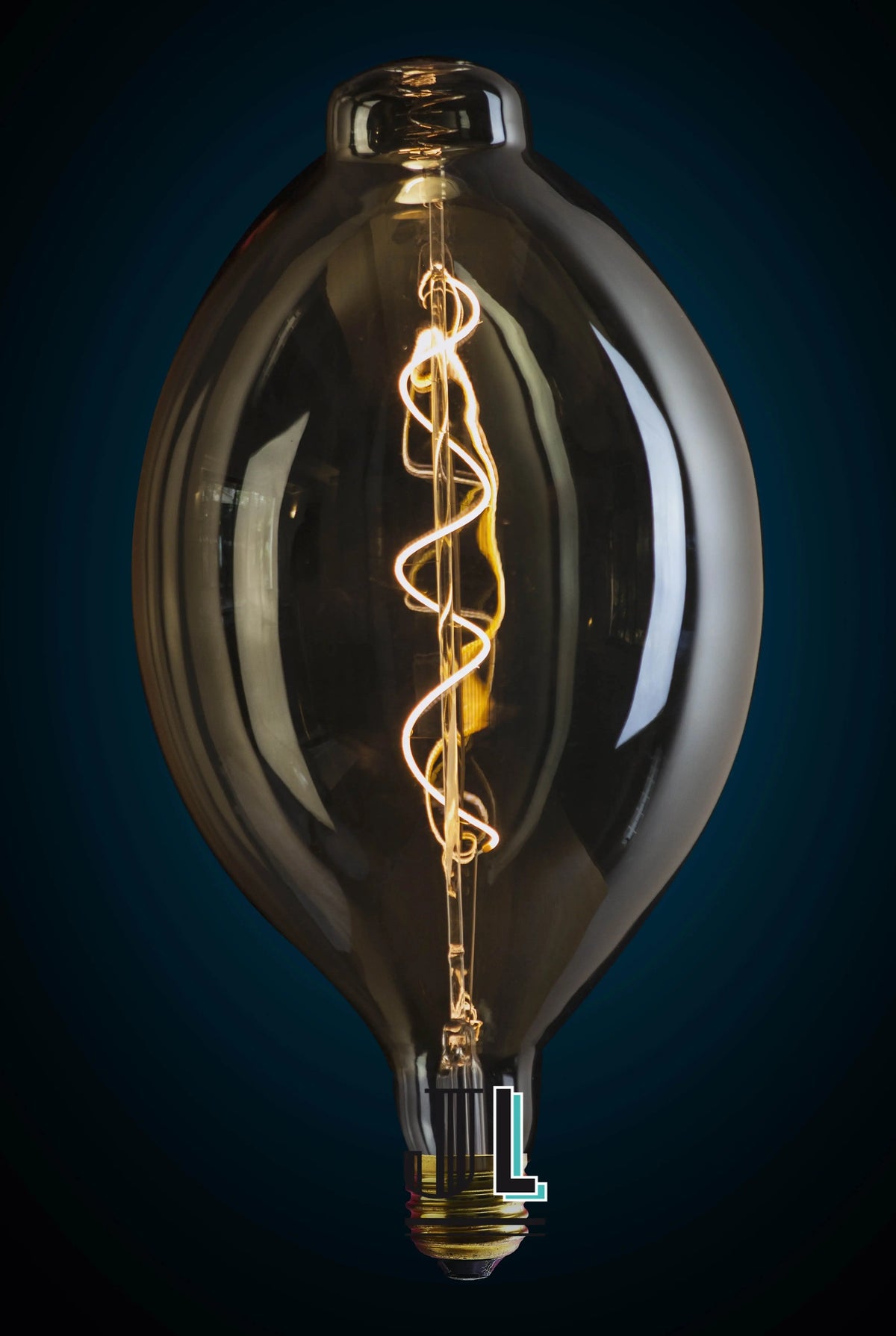 Ampoule LED ovale à filament dimmable E27 4 W équivalant à 50 W modèle PEGGY - Jurassic-Light