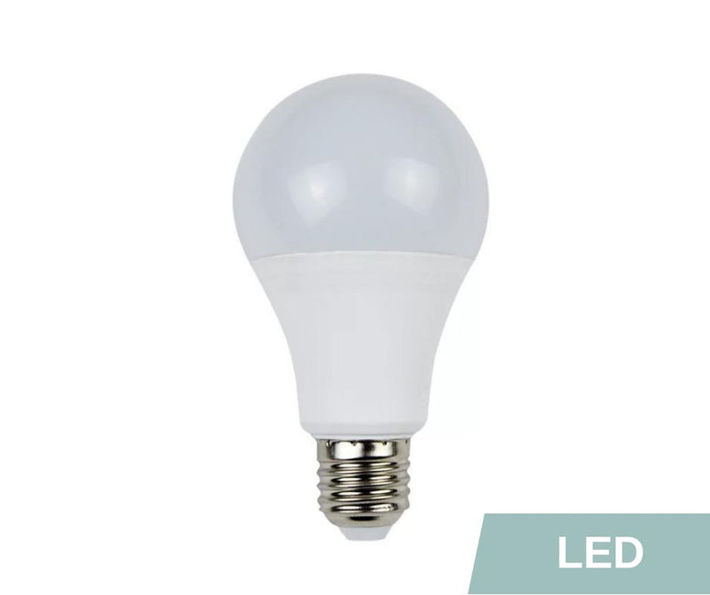 Ampoule LED Standard dépolie E27 économique - Jurassic-Light