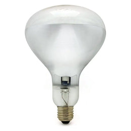 Reflecteur R125 E27 250W à filament incandescent - Jurassic-Light