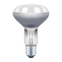 Spot réflecteur R80 culot E27 - Disponible en 60W et 100W - Jurassic-Light
