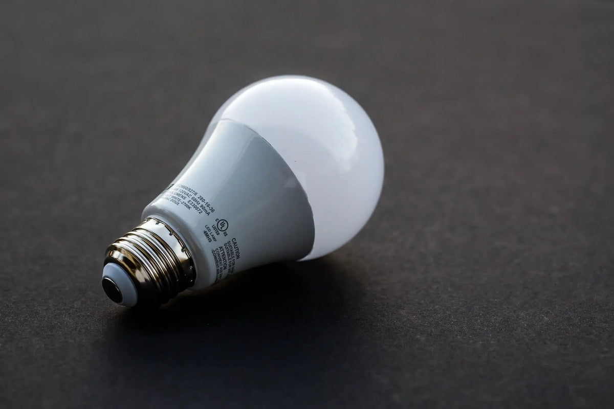 Ampoule LED | Jurassic-Light