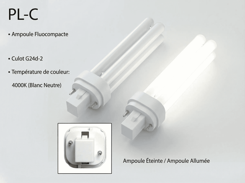 G24D-2 18W 4000K – Lampe Fluocompacte PL-C 18W 2 Broches Jurassic-Light