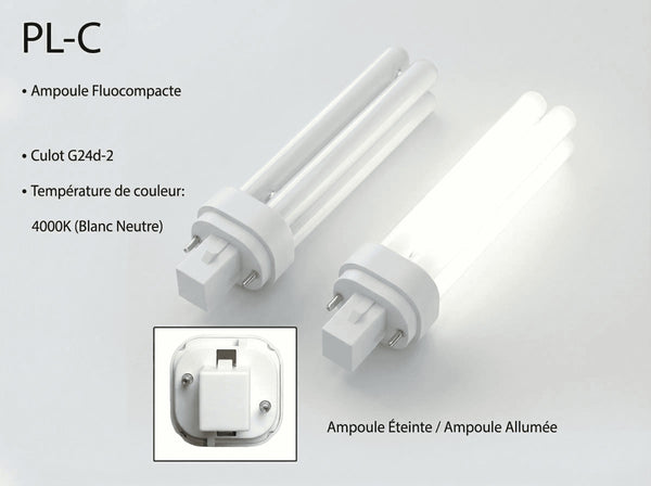 Lampe fluocompacte PL-C G24d à 2 broches en 4000K, éteinte et allumée, avec gros plan du culot
