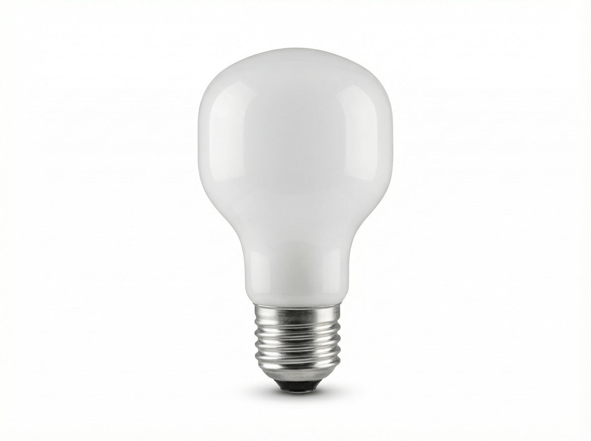 Ampoule T60 E27 60 W à incandescence en verre opalin