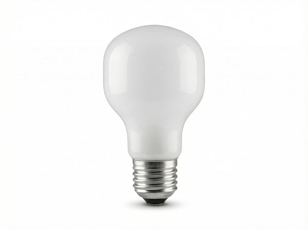 Ampoule T60 E27 60 W à incandescence en verre opalin