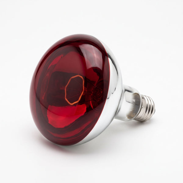 Lampe chauffante infrarouge R125 175 W à verre rouge et culot à vis E27, sur fond blanc