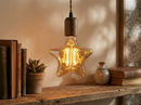 Ampoule Étoile à Filament E27 60W – Lumière Chaude Décorative Vintage STAR