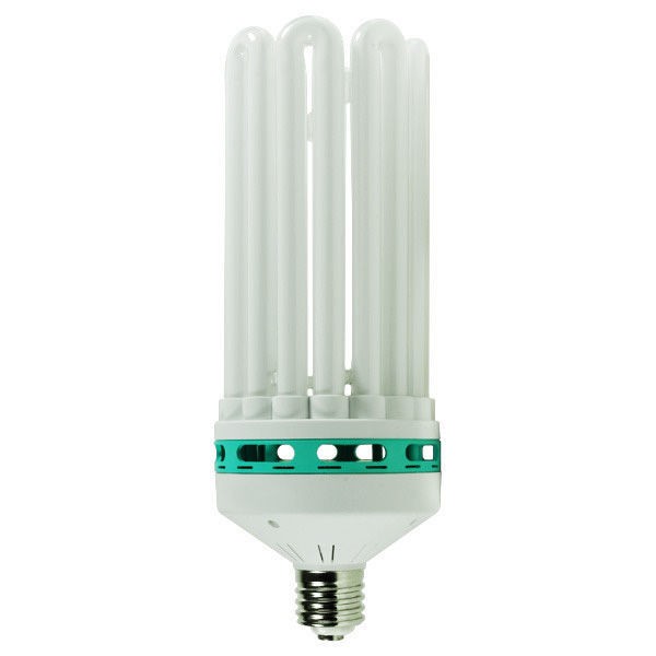 Ampoule Fluocompacte 8U CFL