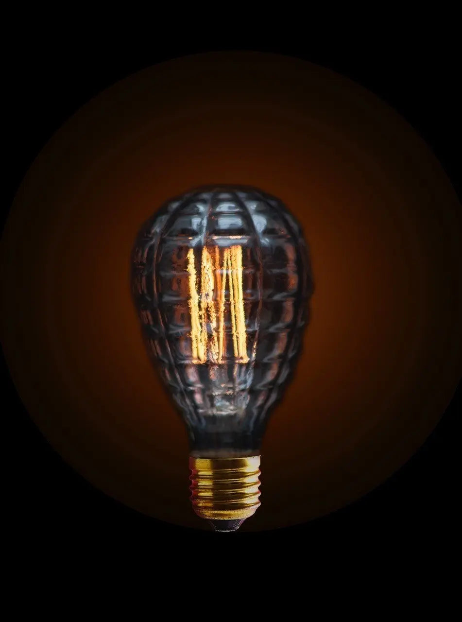Ampoule à filament modèle WAFFLE - Jurassic-Light