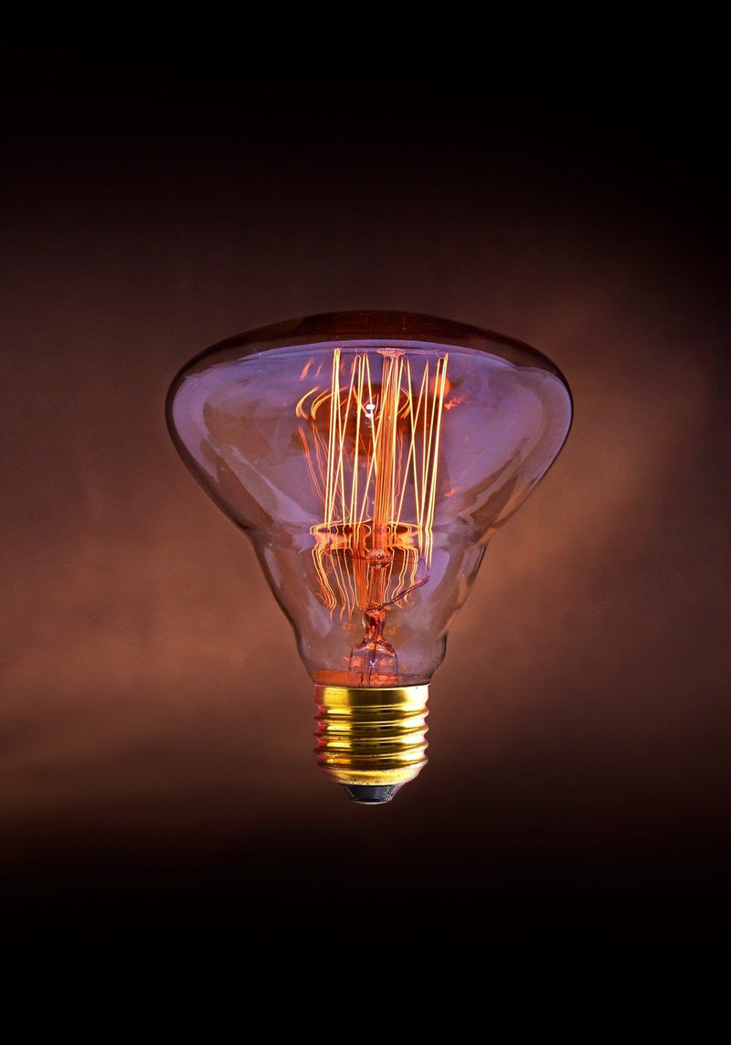 Ampoule à filament mushroom dimmable E27 60 W modèle Bart - Jurassic-Light