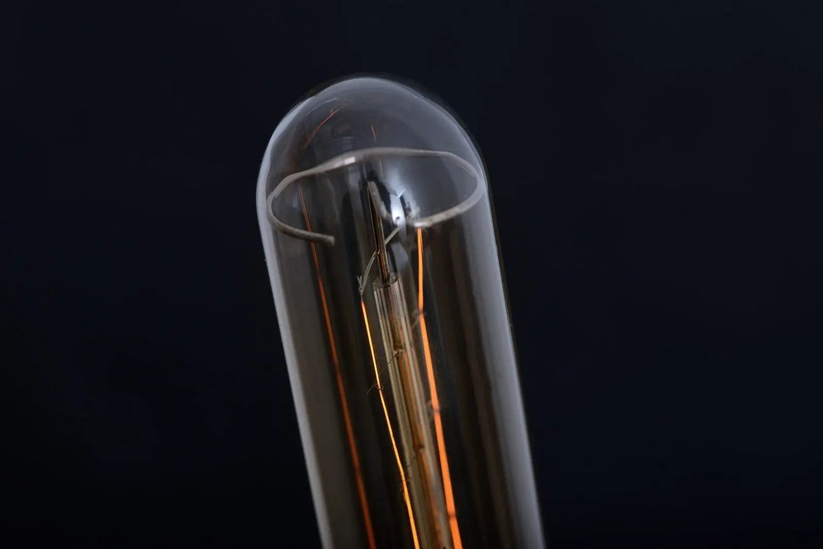 Ampoule à filament tube dimmable E27 60 W modèle Ron - Jurassic-Light