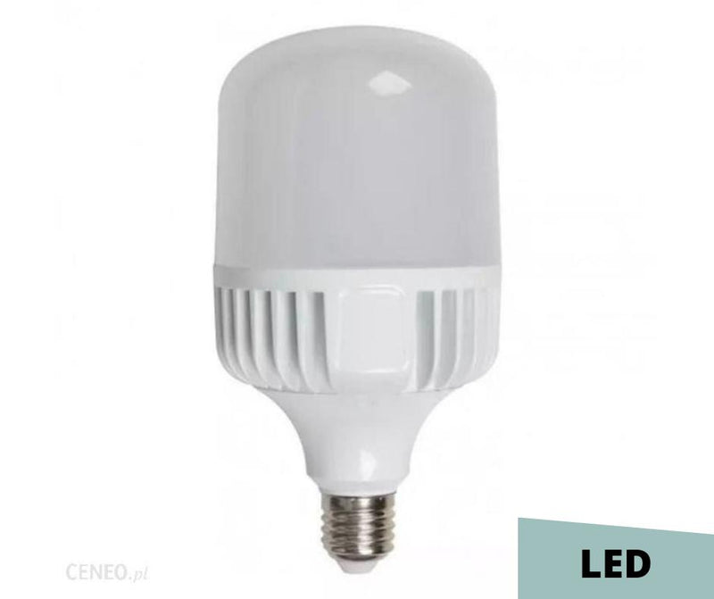 Ampoule LED E27 Haute Puissance 60W ou 100W avec adaptateur E40 - Jurassic-Light