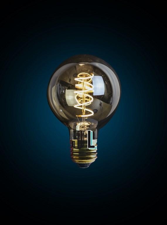 Ampoule LED globe à filament dimmable E27 4 W équivalant à 50 W modèle LILLY - Jurassic-Light