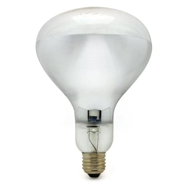 Reflecteur R125 E27 250W à filament incandescent - Jurassic-Light