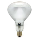 Reflecteur R125 E27 250W à filament incandescent - Jurassic-Light